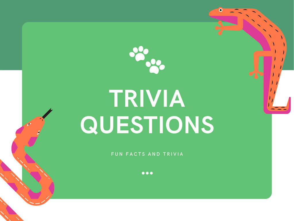 Create Trivia Questions On Any Topic By Technologixhub Fiverr