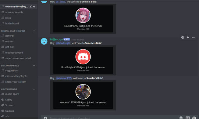 Teach You How To Make A Discord Server Including Bots By Jackousthegreat Fiverr