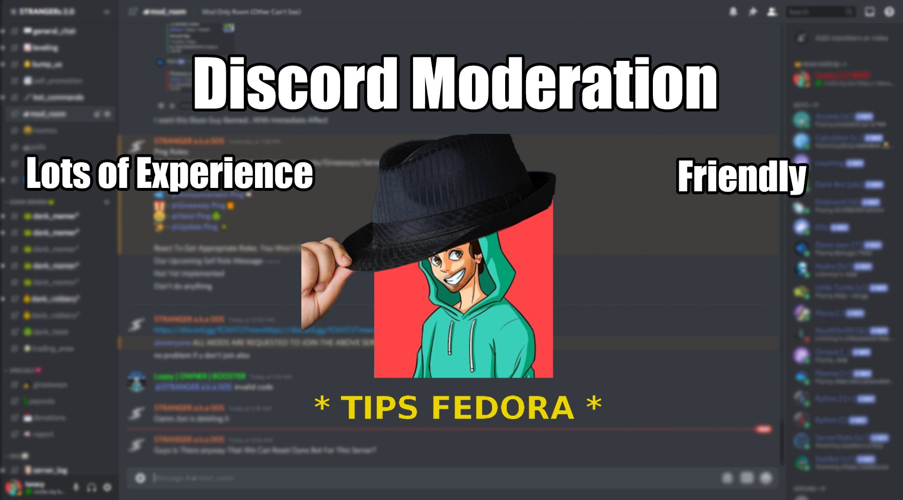 Be Your Discord Server Moderator By Lunacyxp Fiverr