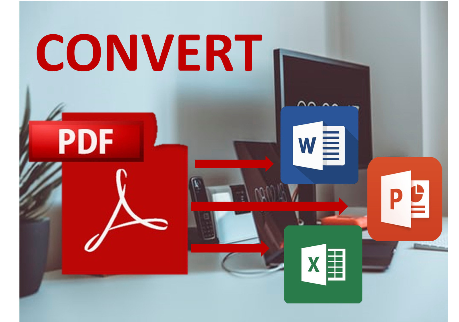 Pdf Statements Conversion To Excel And Word Format By M Zeeshan14 Fiverr