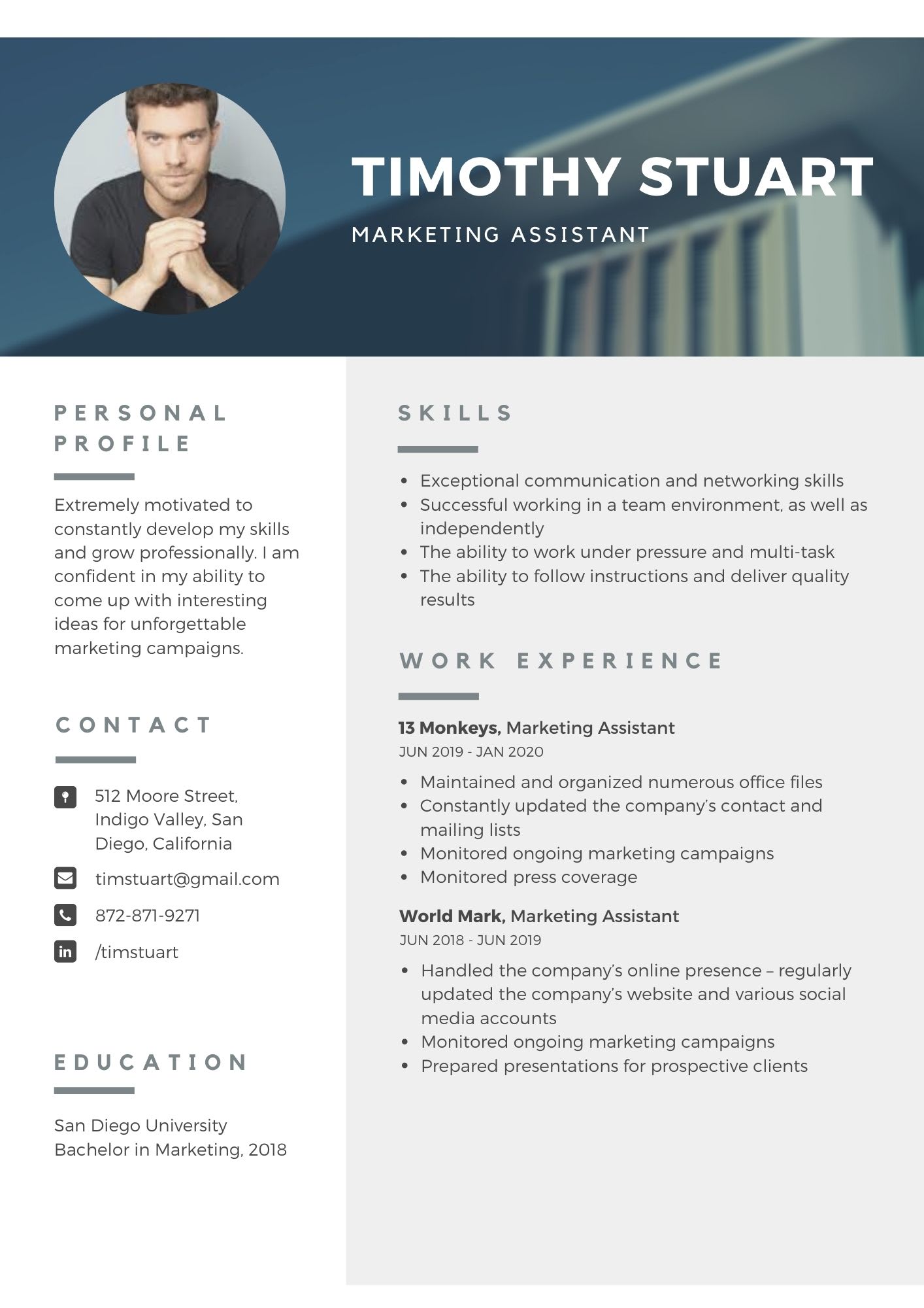 Diseno Tu Curriculum Vitae Profesional Y Creativo By Darkasz Fiverr