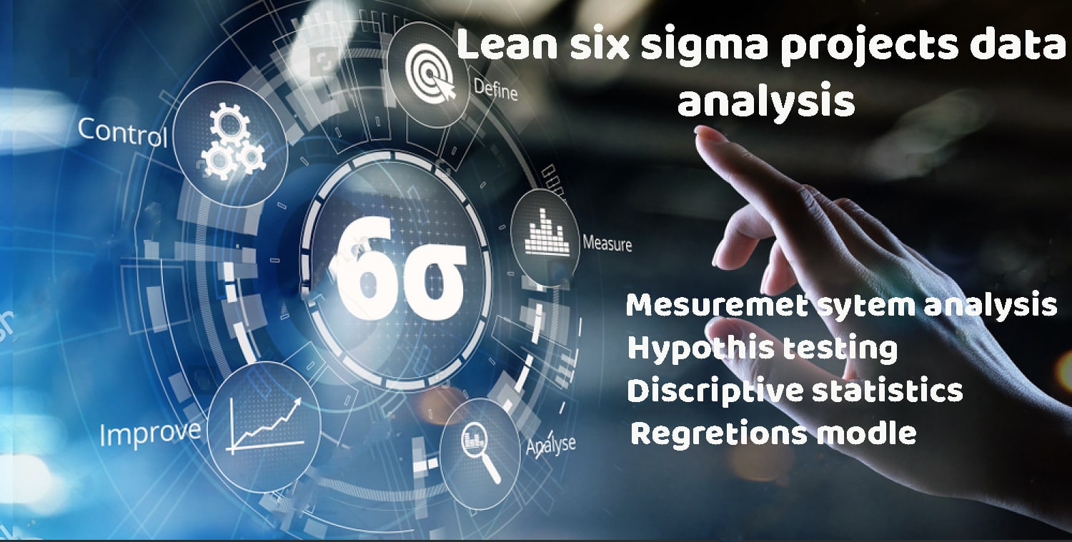 lean six sigma consultant