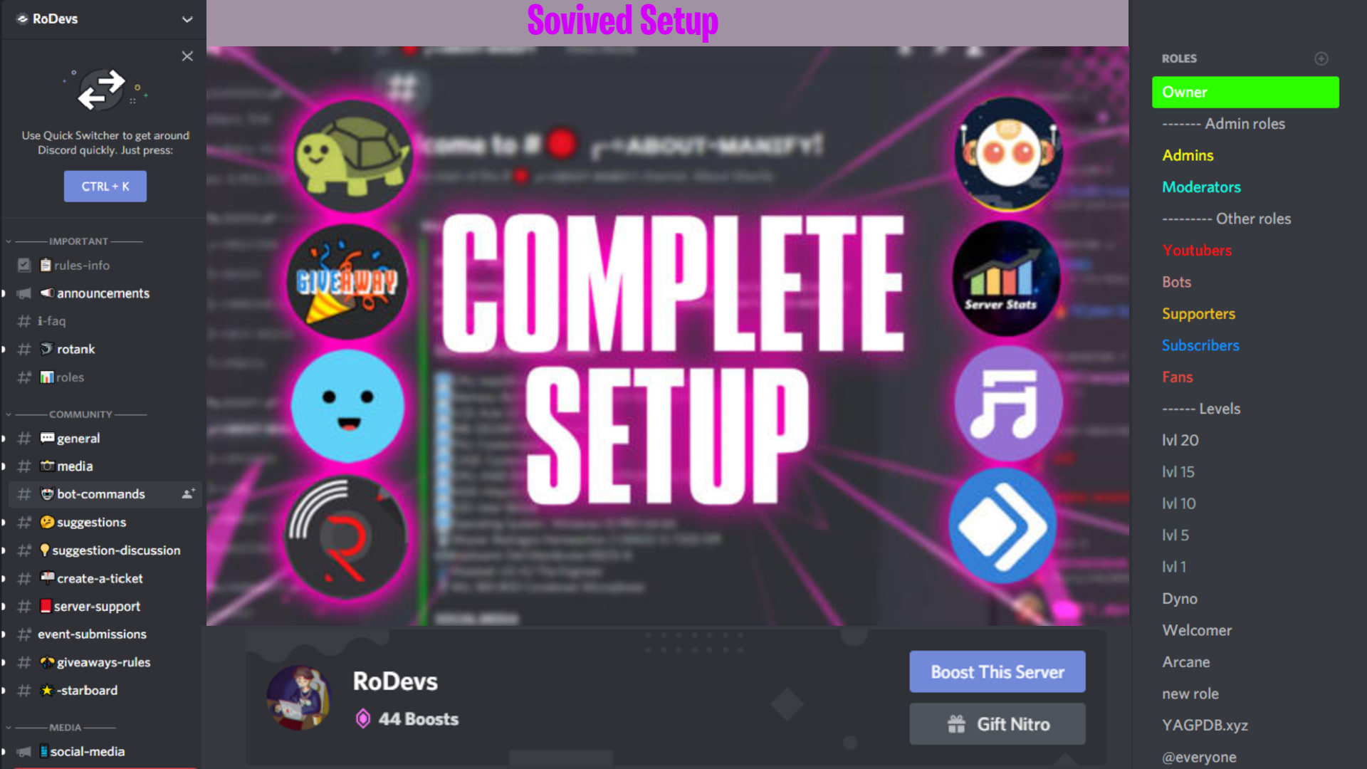 jelly Ringlet Serviceable Make a professional discord server by Ampinn | Fiverr