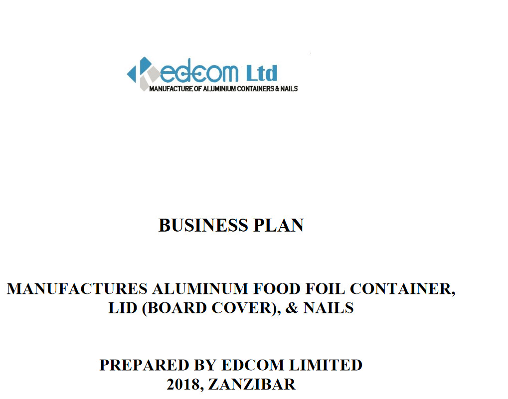 Write professional business plan report for your company by