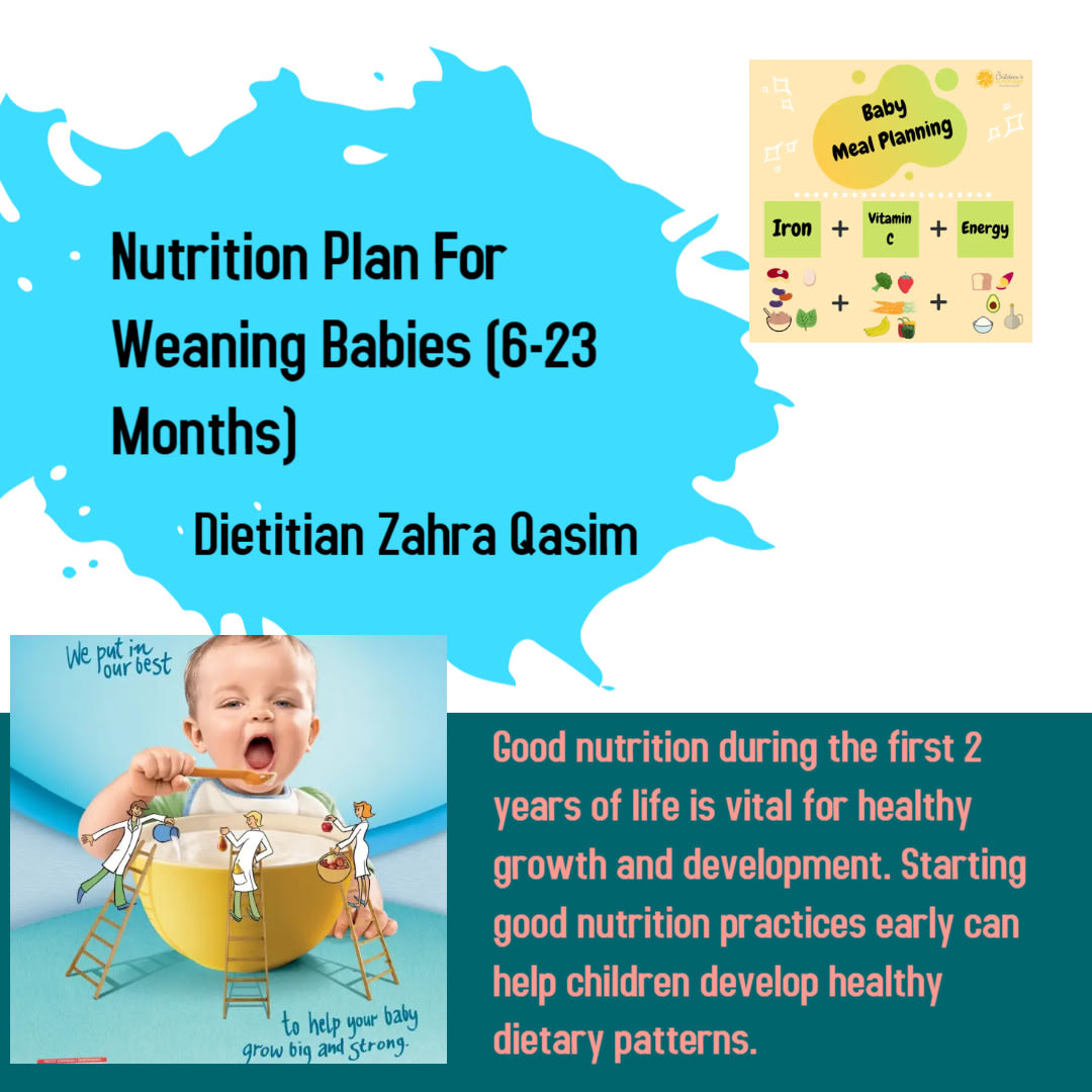 create a meal plan and cookbook for babies from to years age