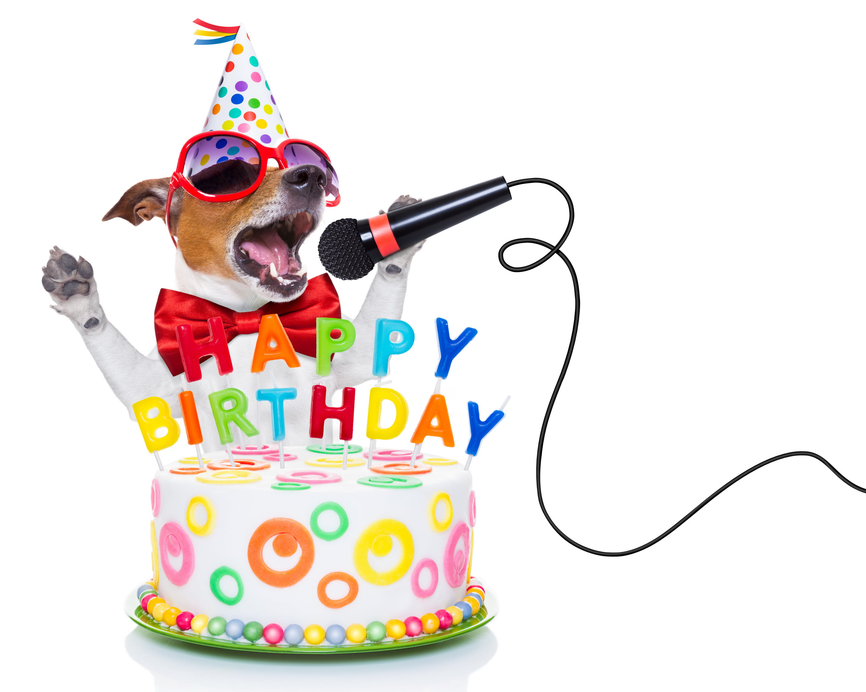 Make your dog or cat sing happy birthday song video by Hinhuk | Fiverr Make your dog or cat sing happy birthday song video by Hinhuk | Fiverr