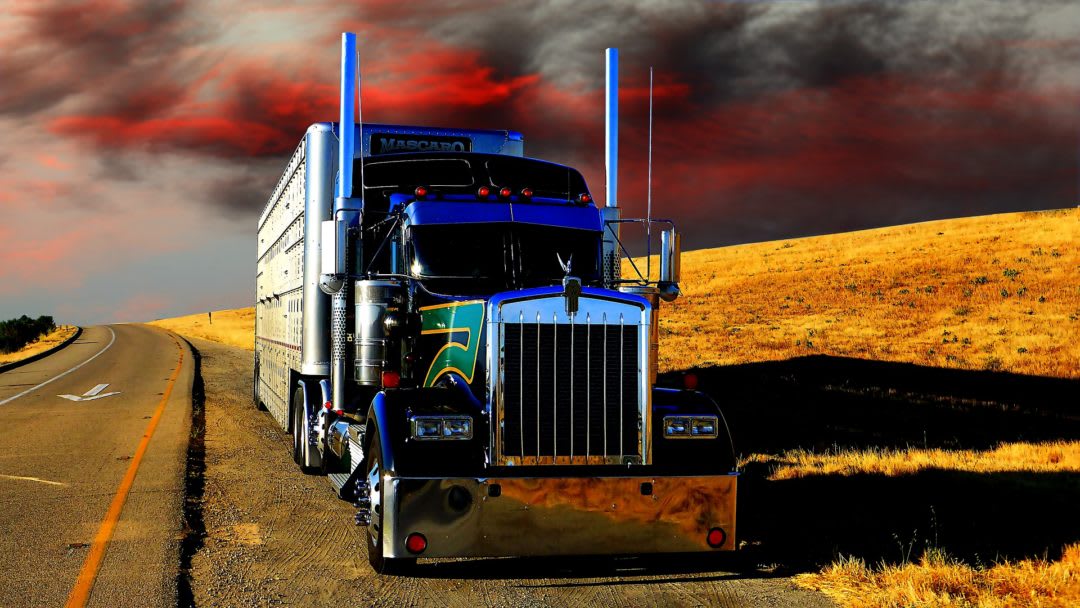 File Dot Mc Ucr And Boc3 For Your Trucking Authority By Chelseaalexi463 Fiverr