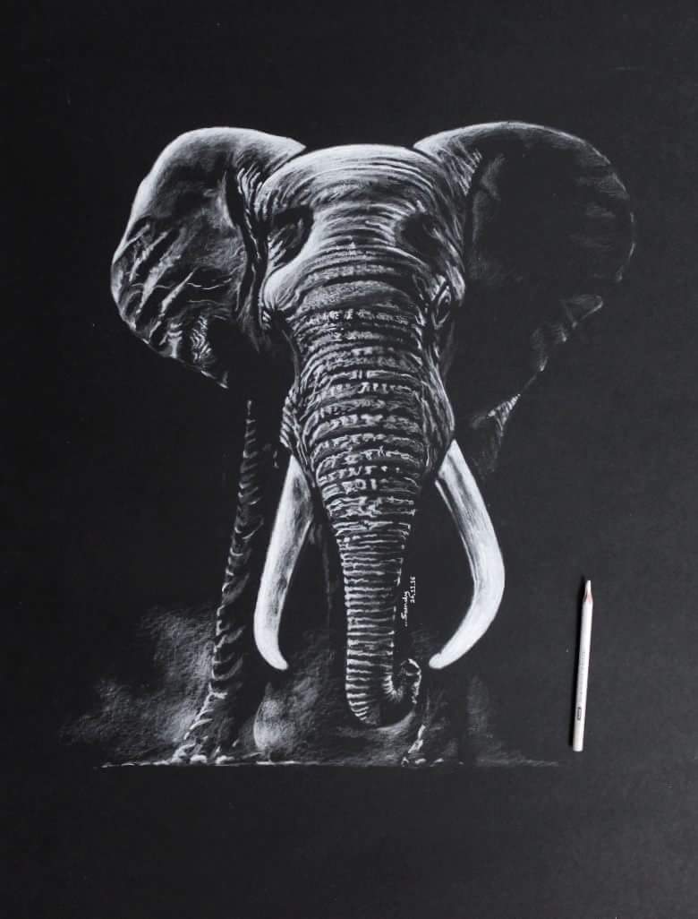 make art from white pen on black paper