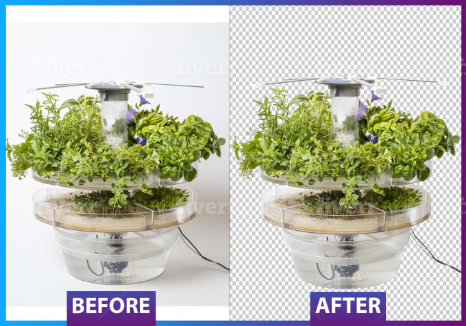 Do background removal and photo editing as well as designing dresses by  Kswathika | Fiverr