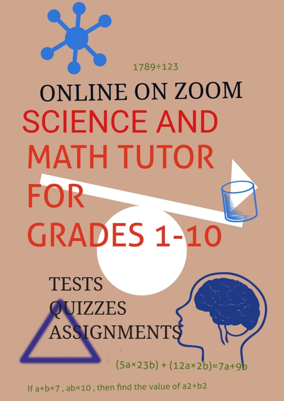 Tutor You In Math And Science On Zoom And Google Meet By Angelina287 | Fiverr