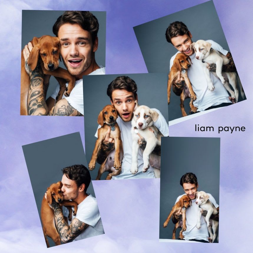 liam payne collage wallpaper