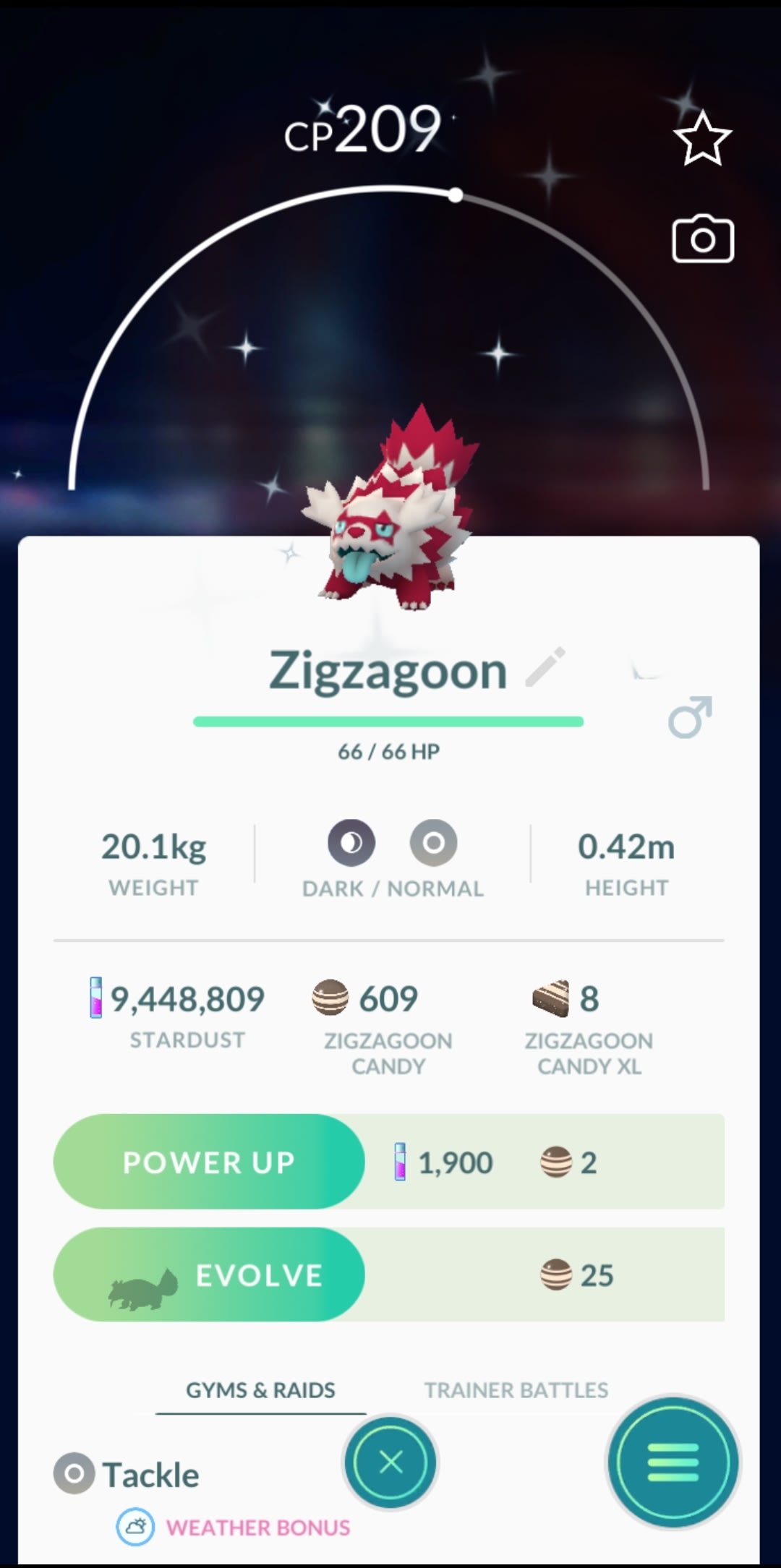 Trade You Shiny Galarian Zigzagoon In Pokemon Go By Brightcharizard Fiverr