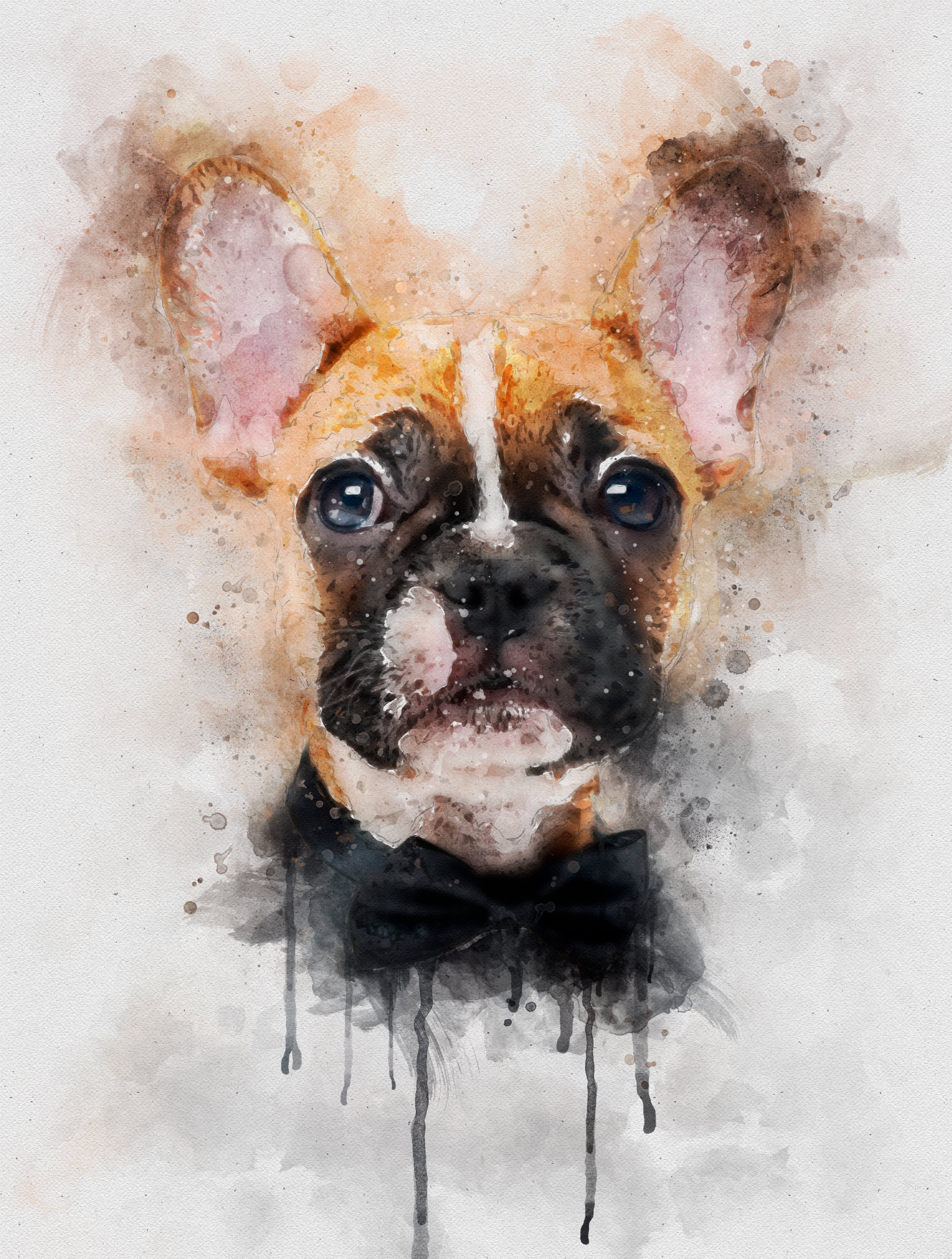 dessiner une peinture à l'huile numérique personnalisée, un portrait  d'animal de compagnie de style aquarelle