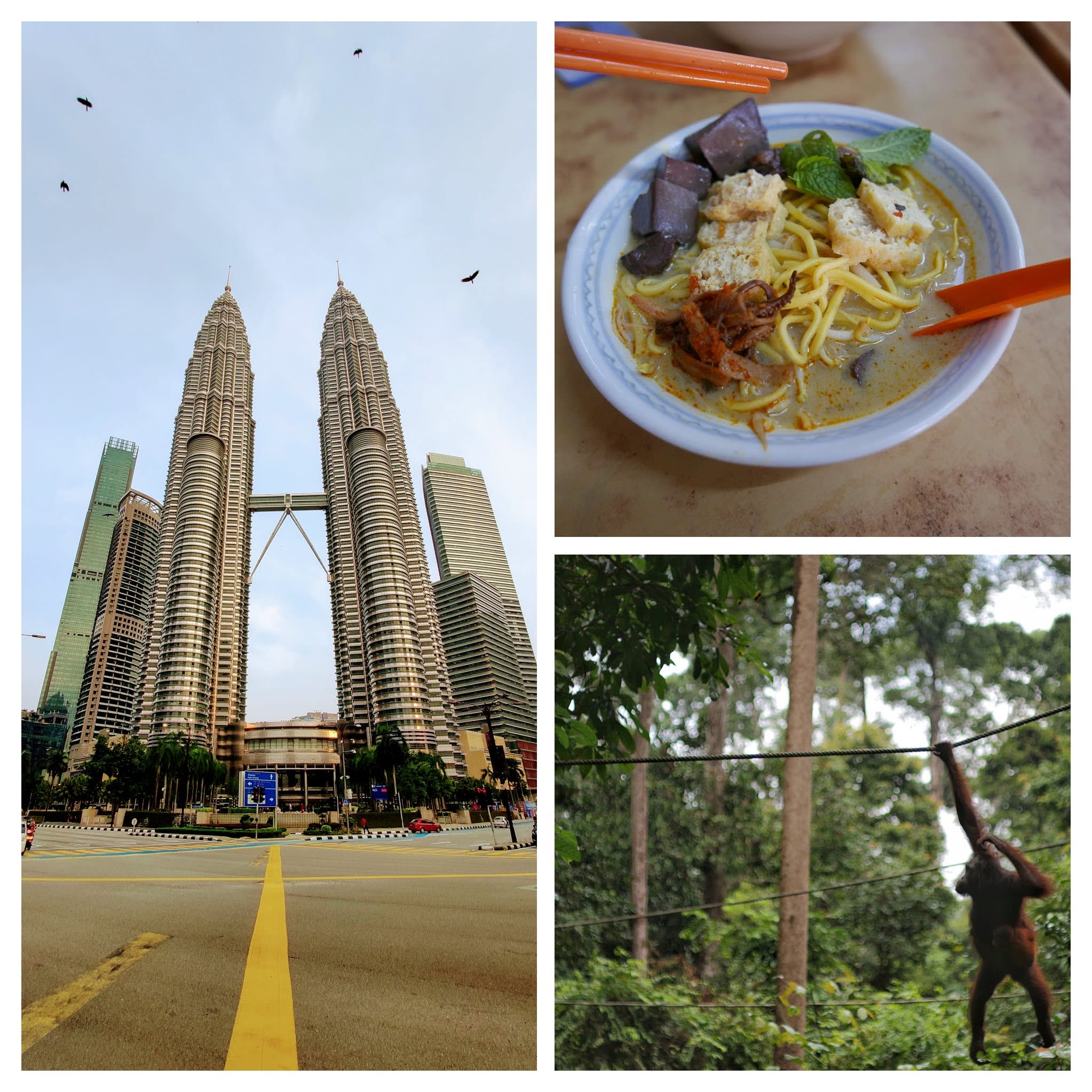 Tailor-Made Your Malaysia and Borneo Trip