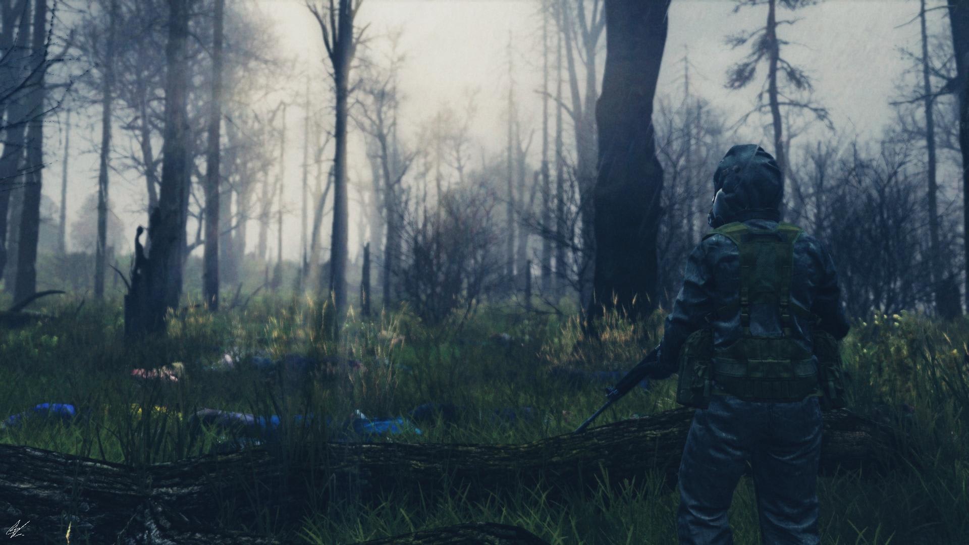 Dayz Standalone