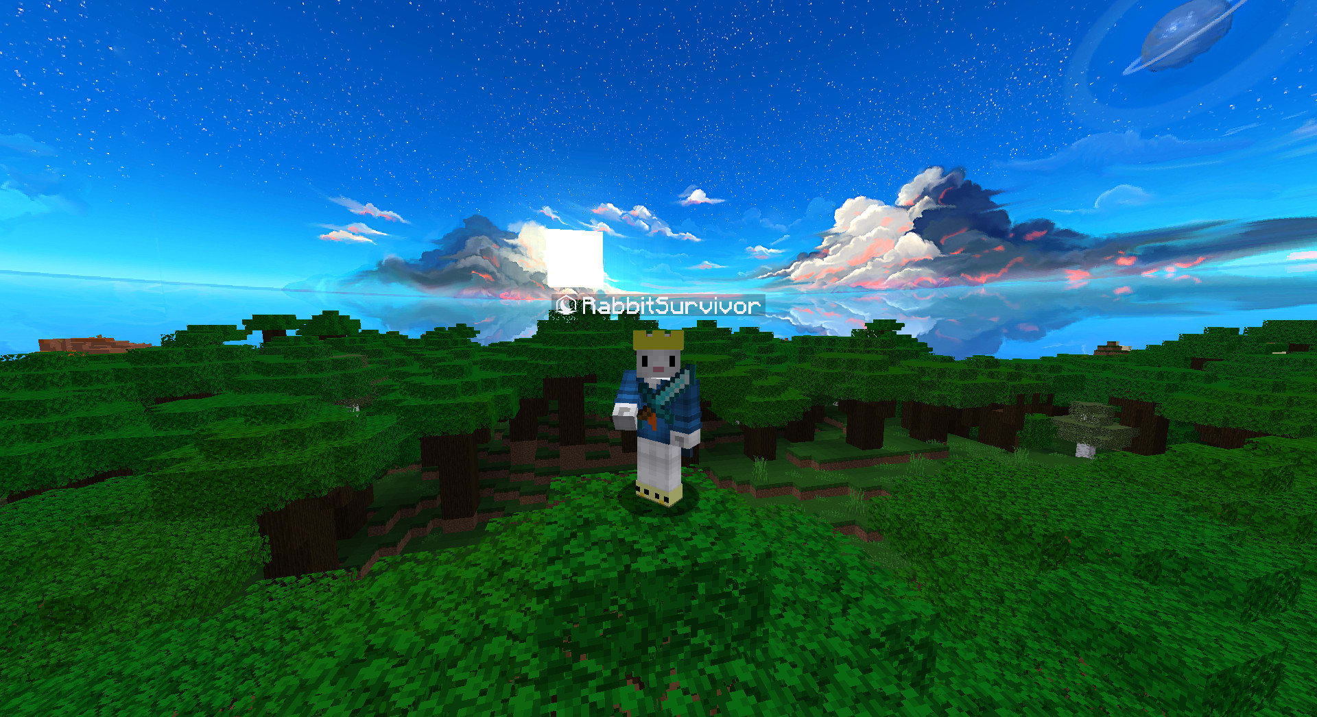 Make a custom minecraft bedwars texture pack for you by