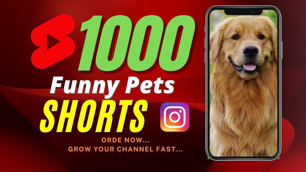 Create 1000 pets funny youtube shorts or reels hd by Media7world | Fiverr