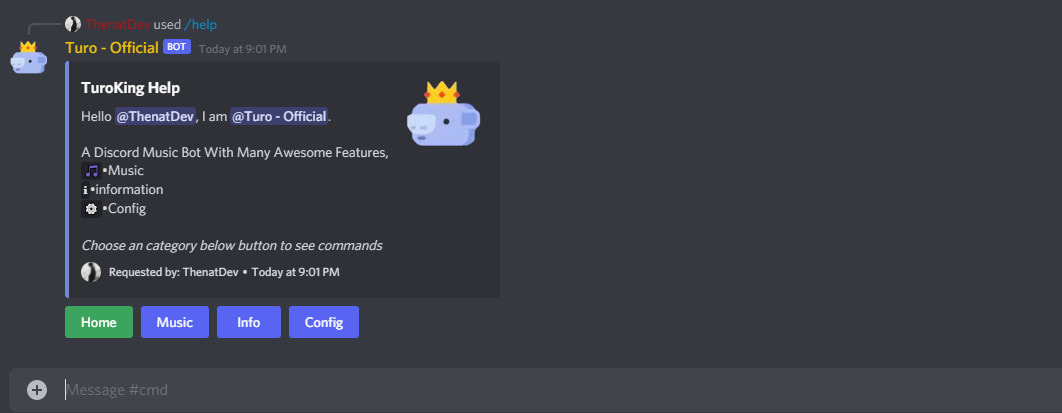 10 Discord Bot Ideas: The Ultimate List - TurboFuture