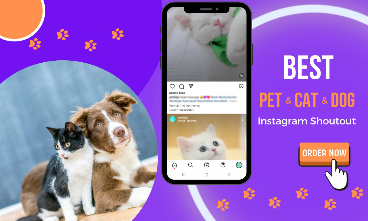 Do an instagram shoutout on my 170k cat, dog and pet page by Hozegrup |  Fiverr