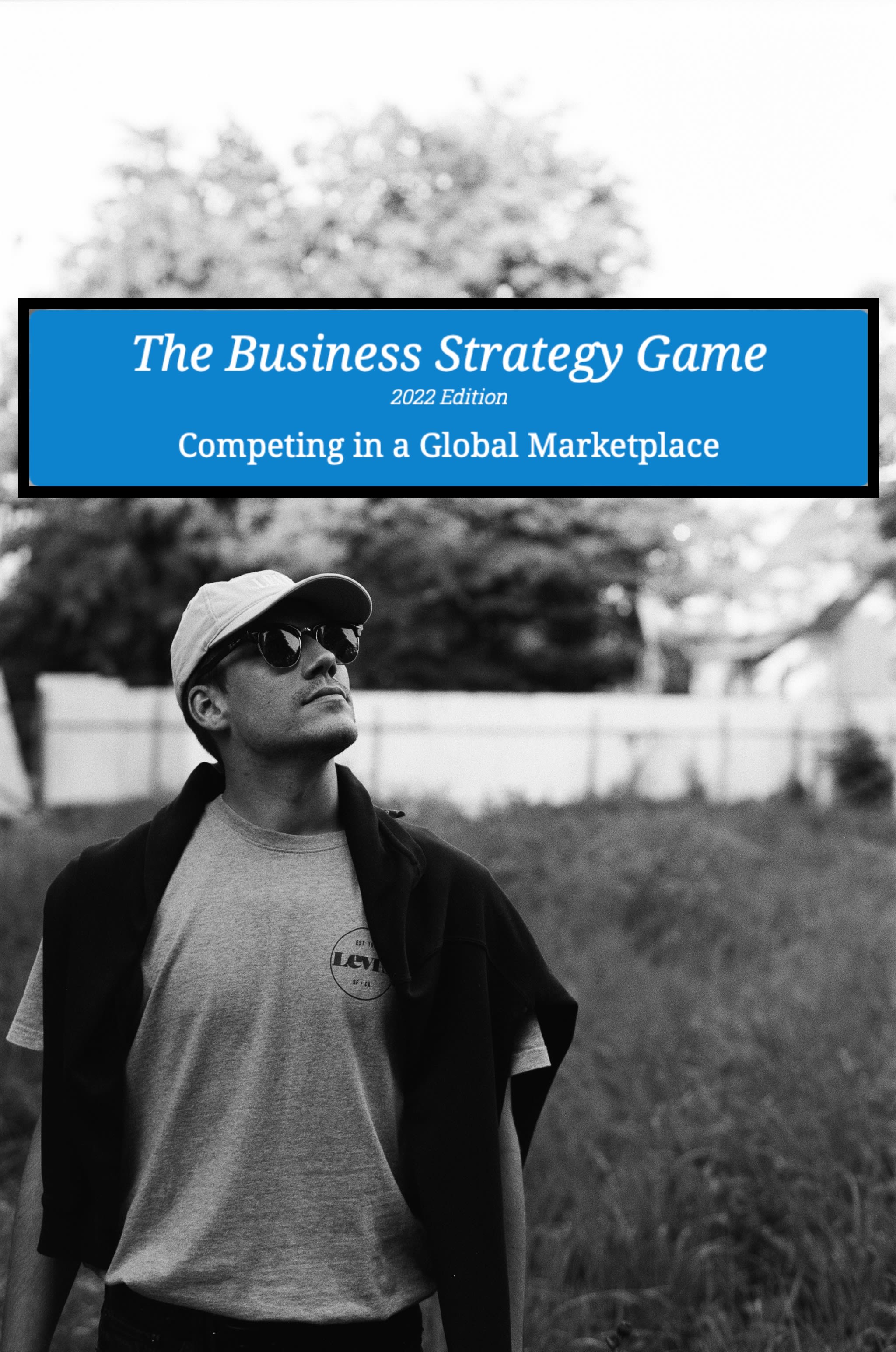 Consult and tutor you through the business strategy game bsg by Dataguy809  | Fiverr