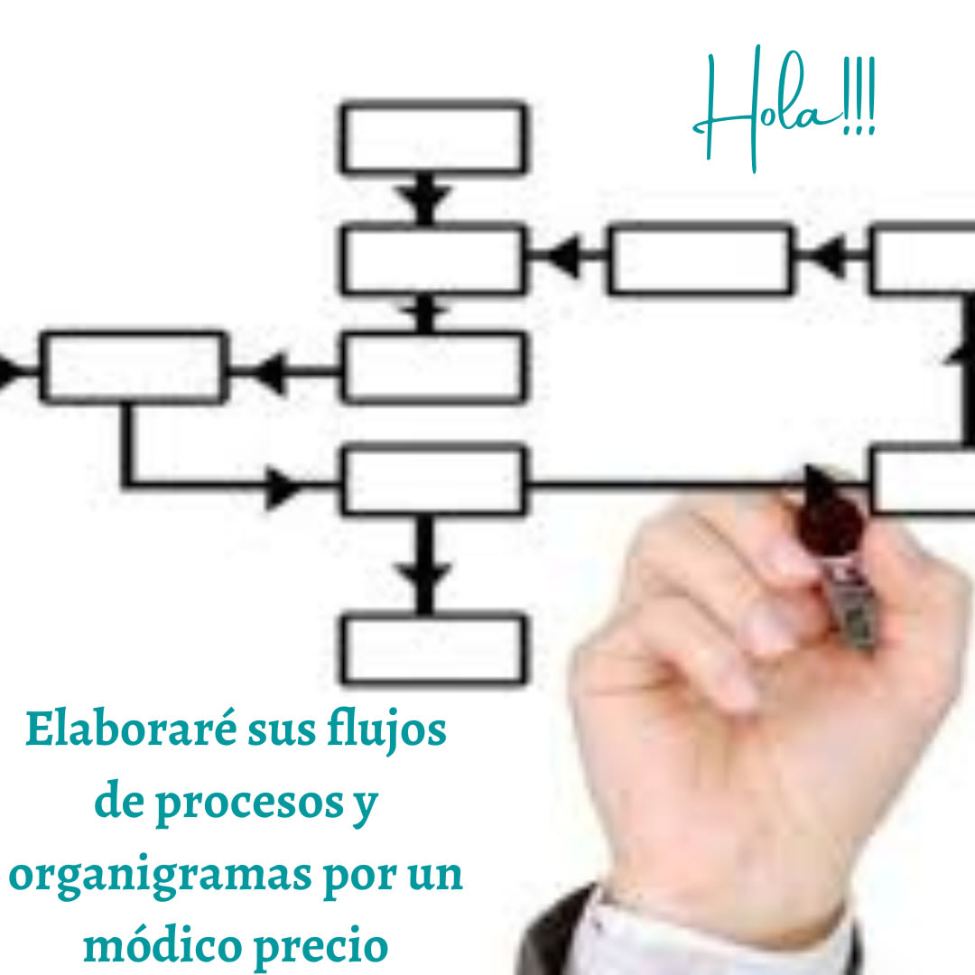 Elaborar diagramas de flujo y organigramas para ti by Rohcaceres | Fiverr