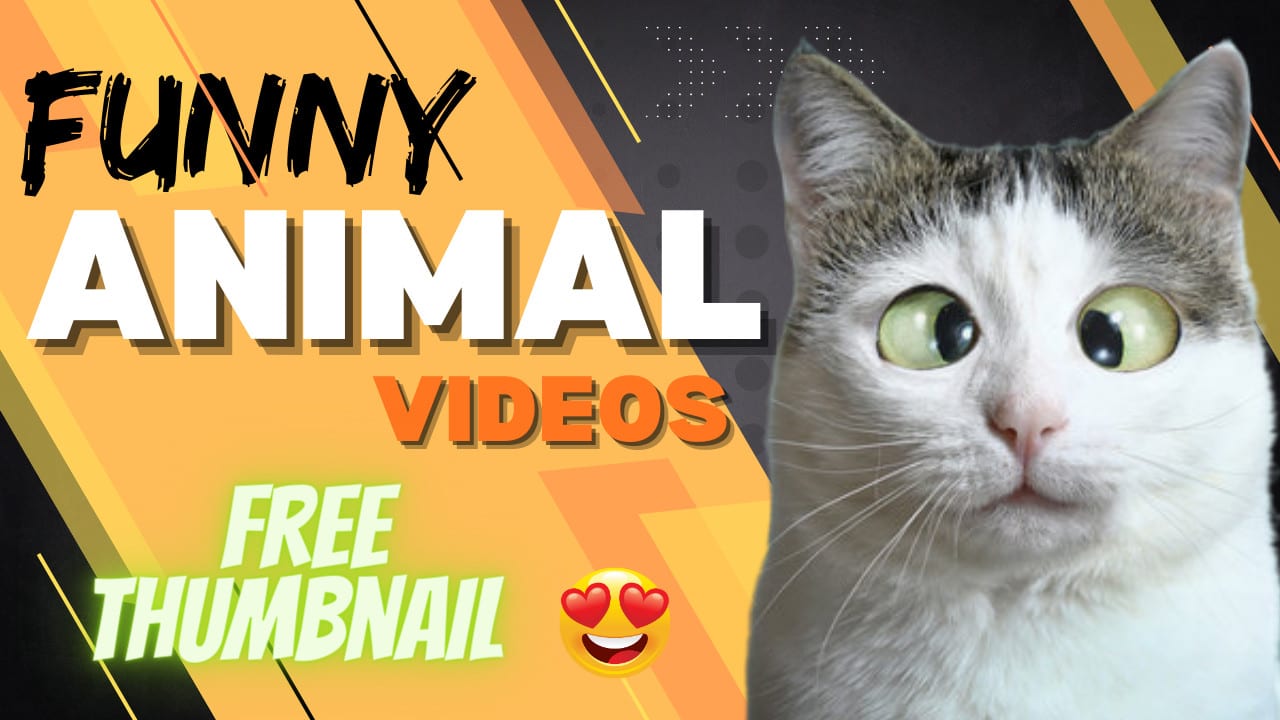 Create funny animal compilation videos for youtube and fb by Malikshzii789  | Fiverr