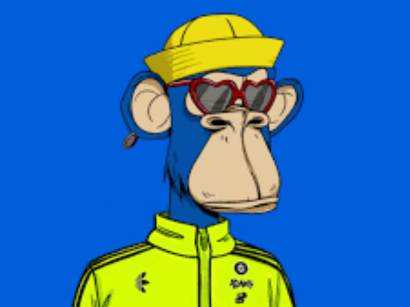 プロフ必読⭐︎monkey Artistic picture of the monkey for profile by Photoprofile