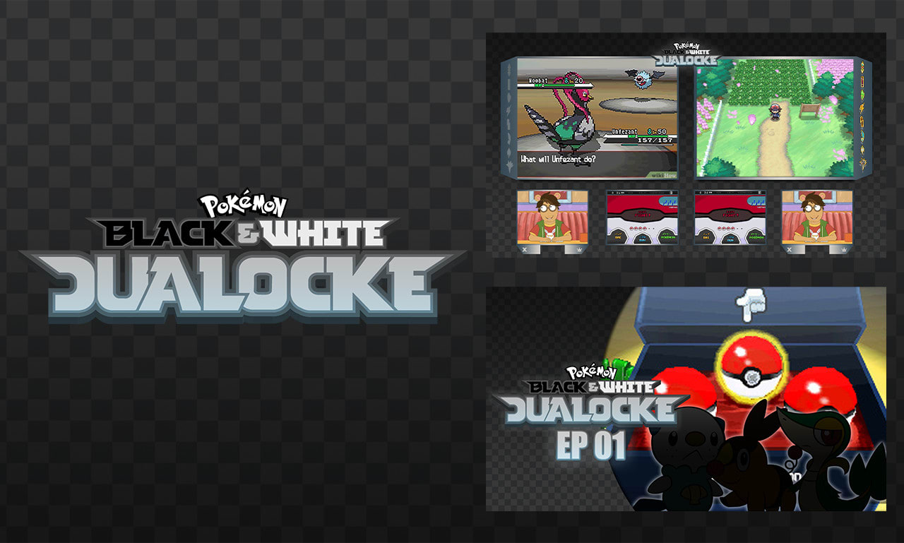 pokemon black 2 nuzlocke designs｜TikTok Search