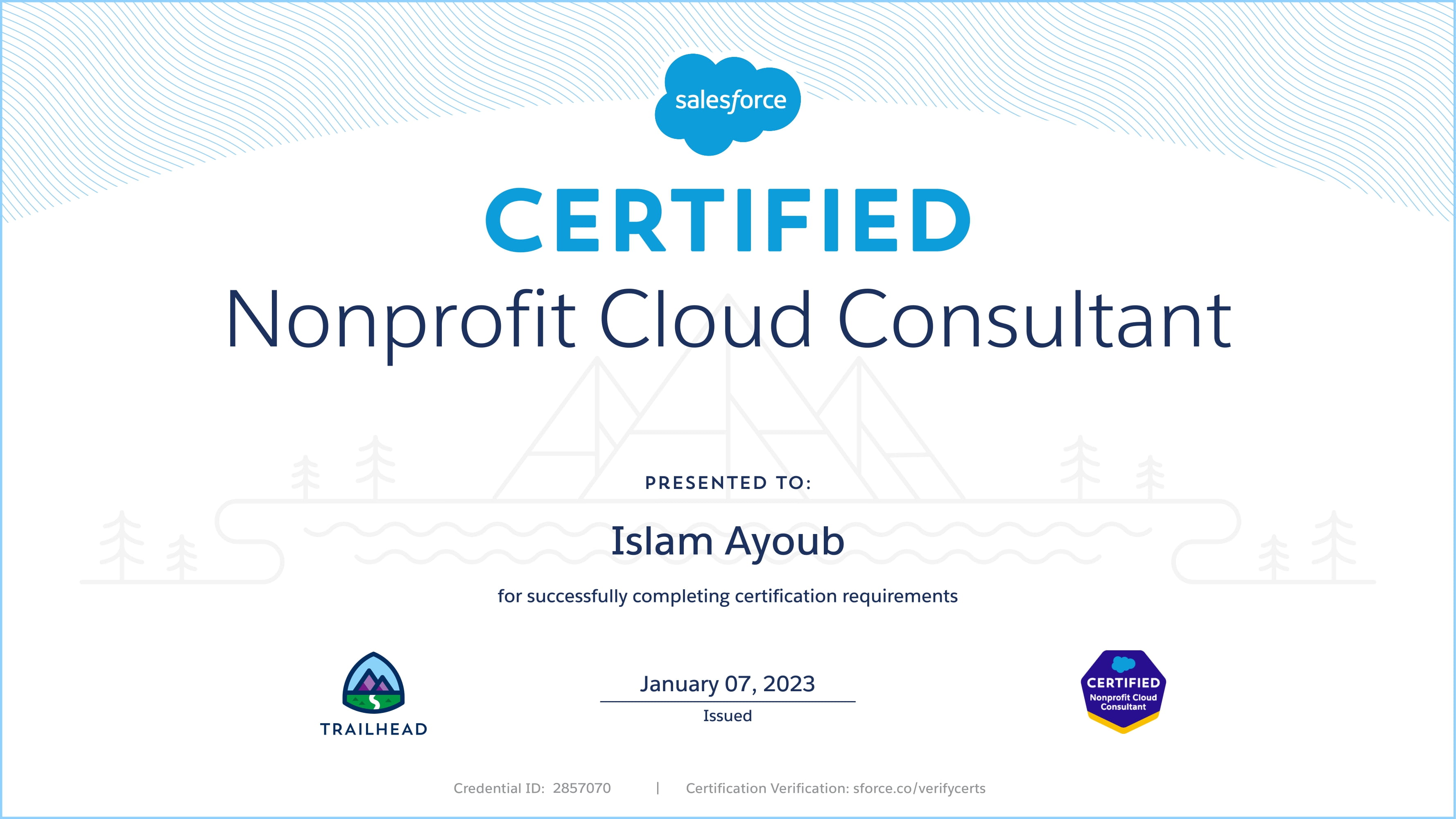 Study Nonprofit-Cloud-Consultant Center