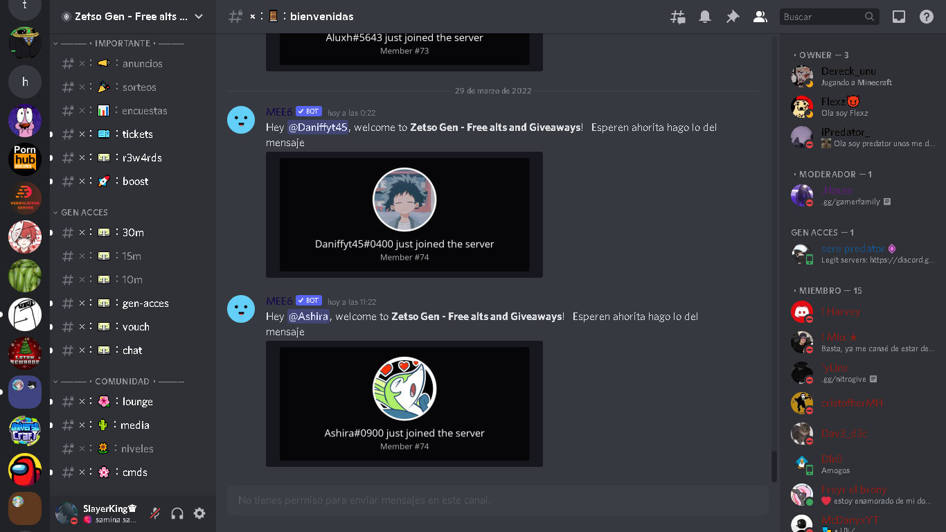 Create a discord server for you by Alfiesargeant1