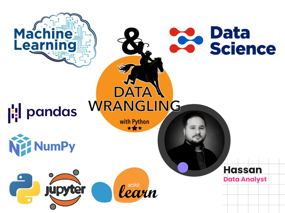 Do data science and machine learning projects in python by Hassandigiskill  | Fiverr