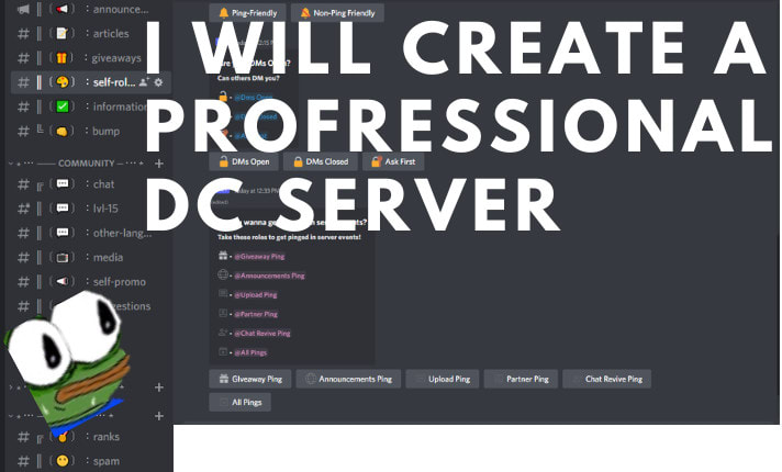 Mjbbeast: I will make roblox professional discord server maker