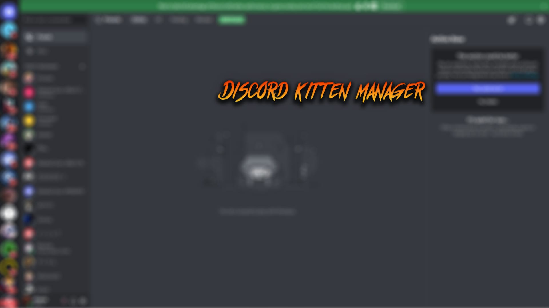 Be your discord kitten manager by Skyilge | Fiverr