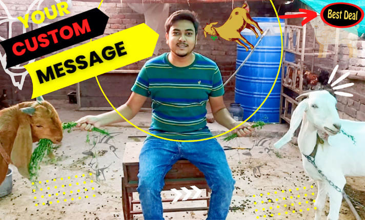 Wish funny happy birthday or any custom video greeting message with goats  by Azeem_creates | Fiverr