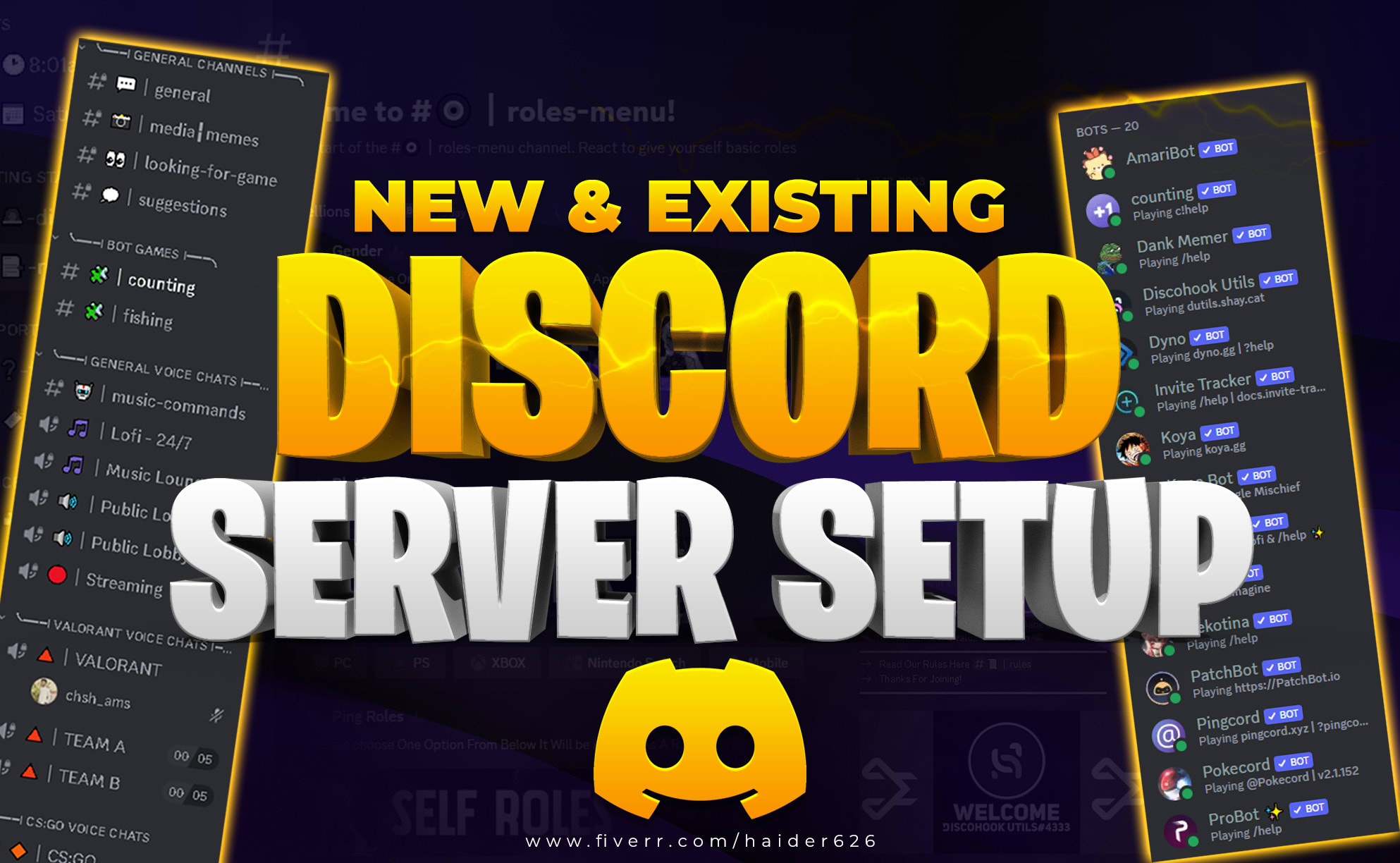 make you a professional discord server within 48 hours