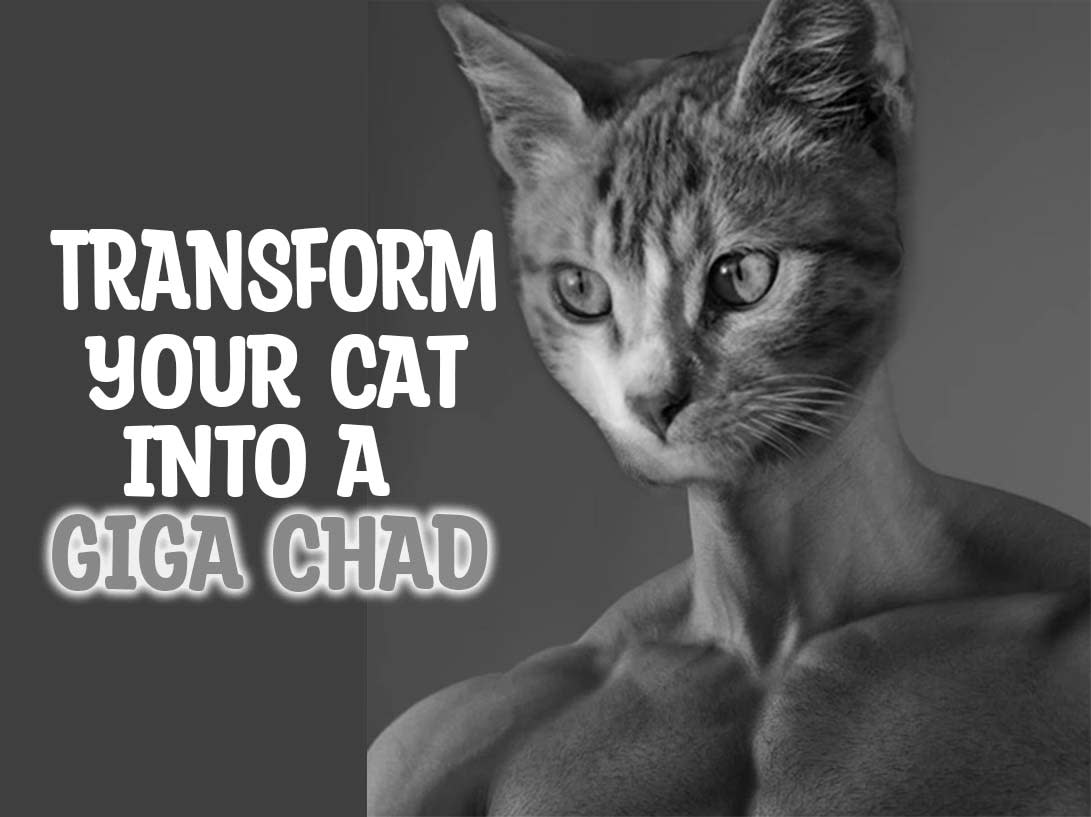 turn you into a gigachad