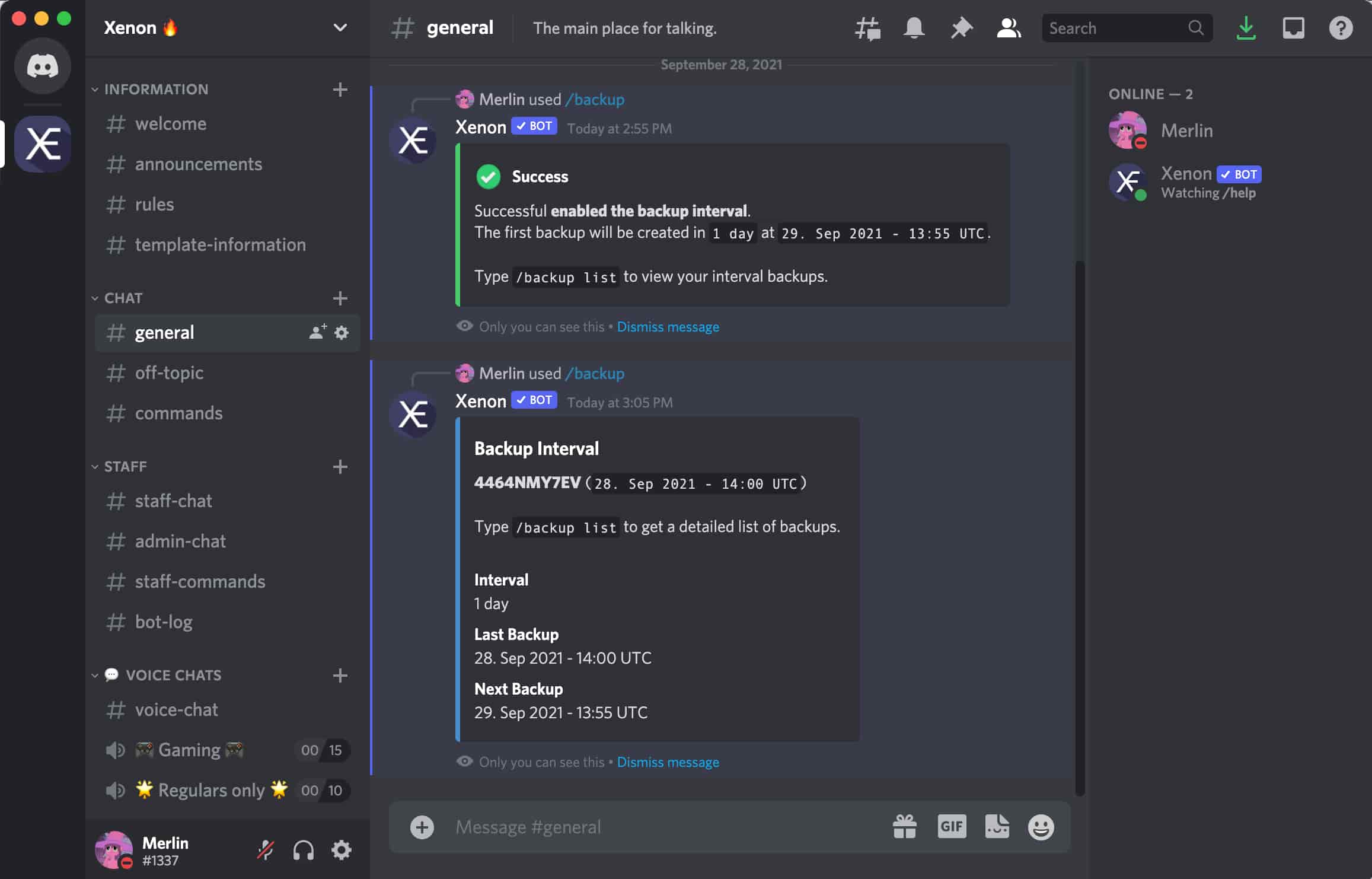 Setup custom professional discord server for you by Filipez803