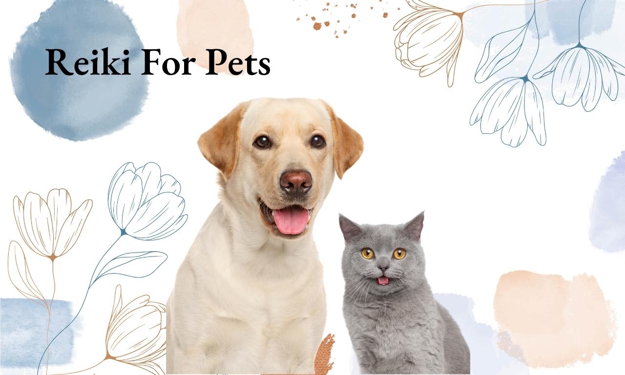 Send distant reiki healing to your pet, reiki for animals by Trinityreiki |  Fiverr