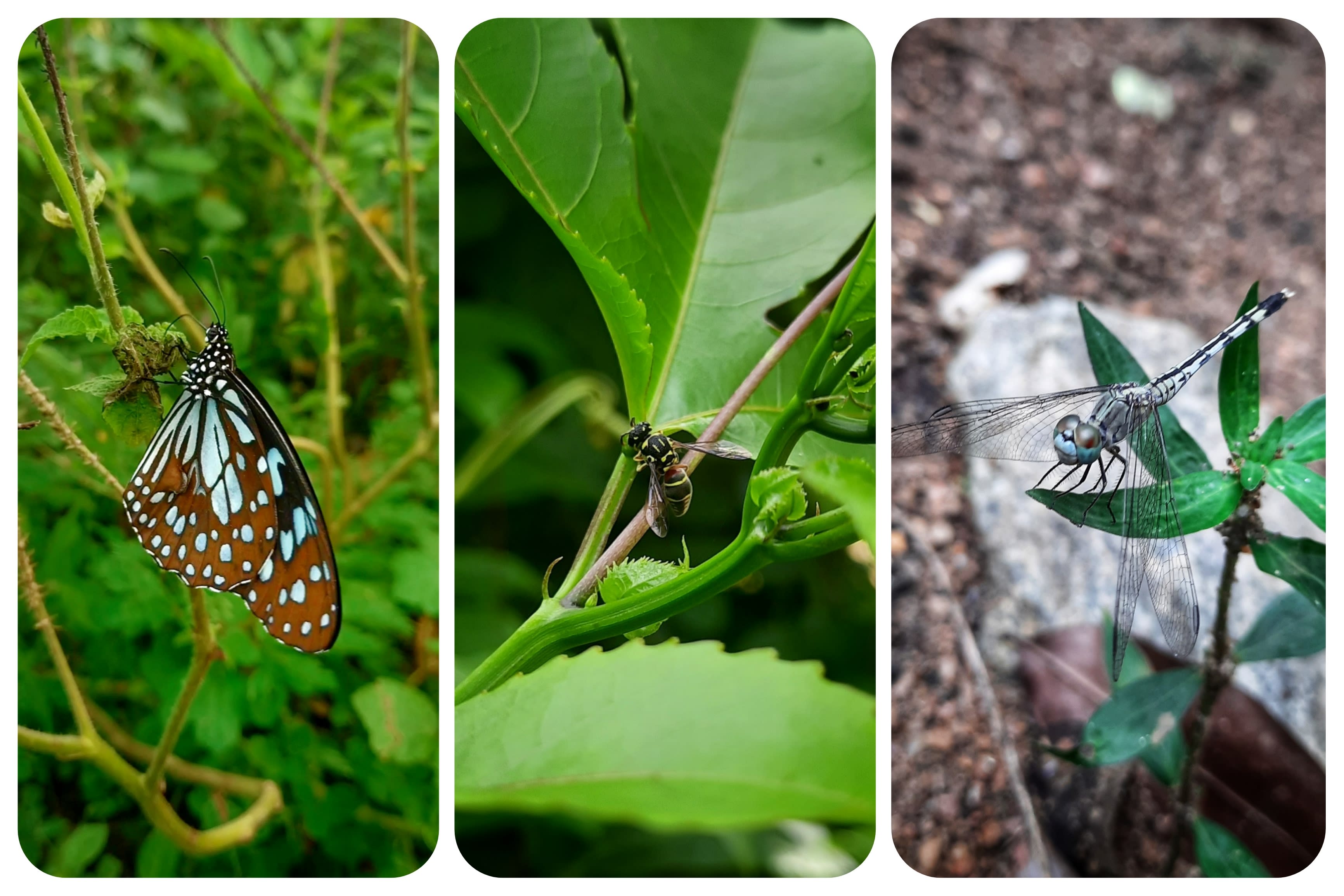 Give You the Best Unique Photography of Nature