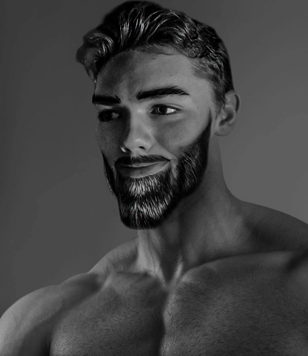 Giga Chad, Hair, Memes, HD Phone Wallpaper Peakpx