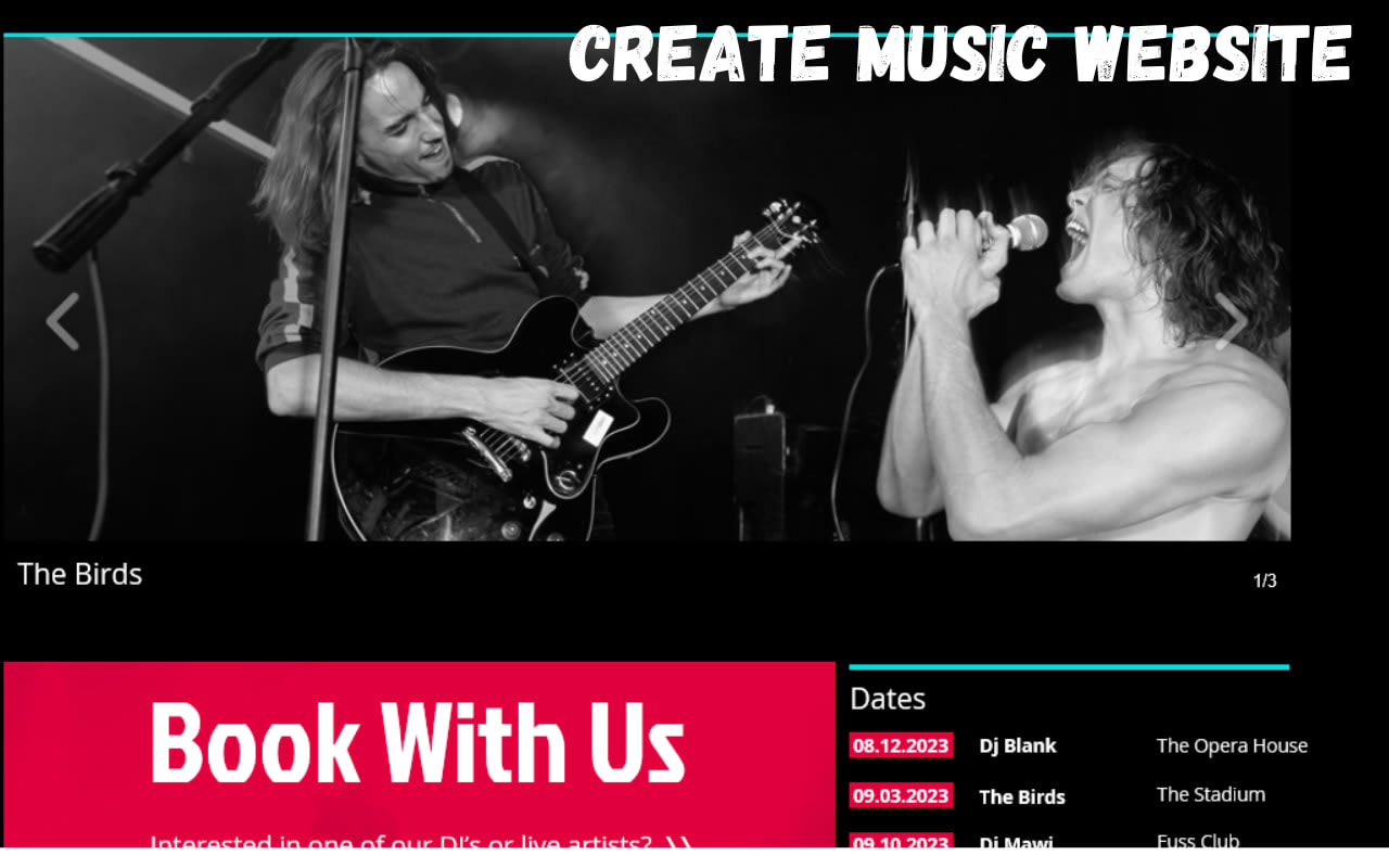 Create music website, record label, dj website, producer ...
