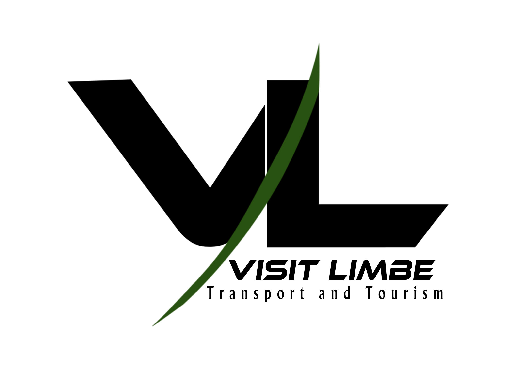VL logo design (2388412)