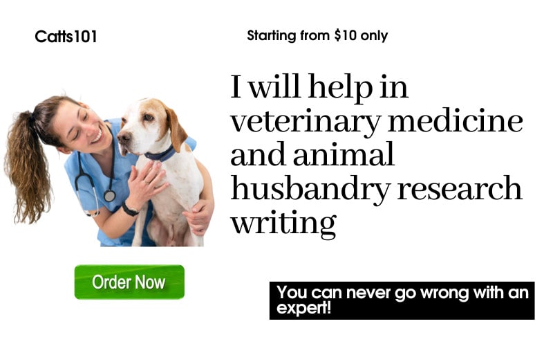 Help in veterinary medicine and animal husbandry research writing by  Catts101 | Fiverr