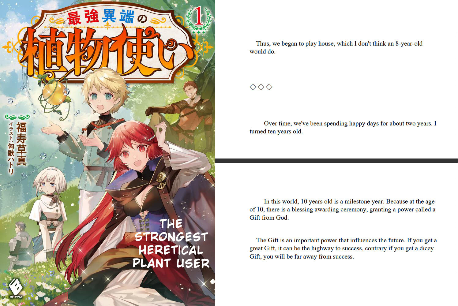 Japanese Light & Web Novel