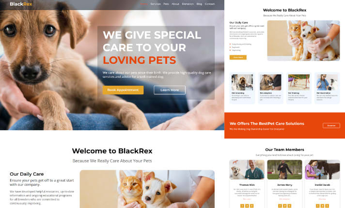 Pet store outlet websites