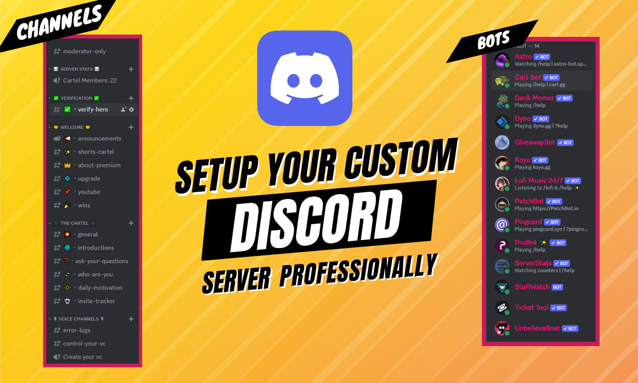 Create a customized discord server by Shawnandro