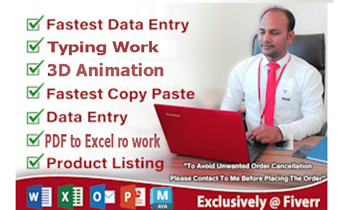 Do data entry copy past pdf to excel videoedting animation by Adithyaraju12  | Fiverr