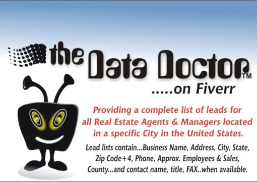 Provide A List Of Real Estate Agents And Managers In Excel Format For Any City In The United States By Yournabor