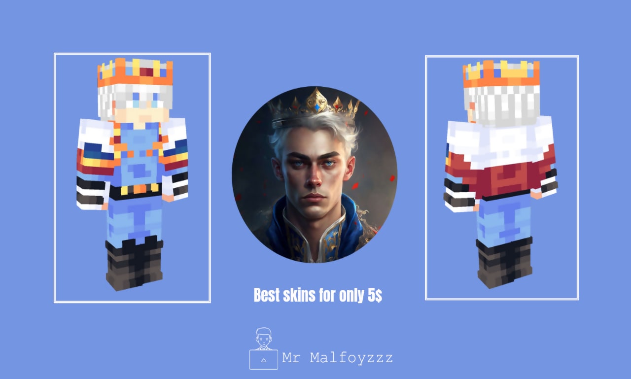 Mr Minecraft Skins