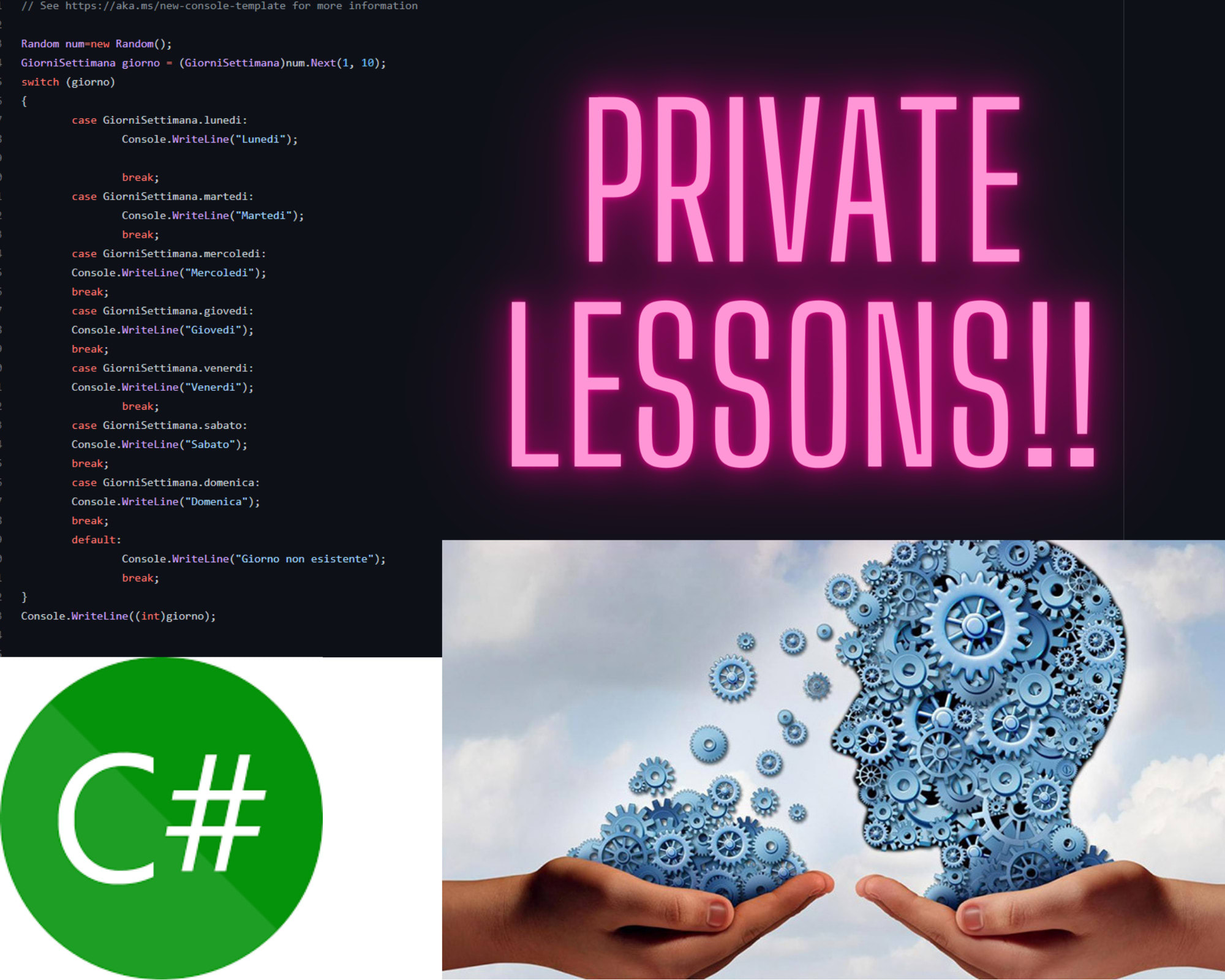 Flowgorithm, jflap, visual studio lessons by Filippoluchetta | Fiverr